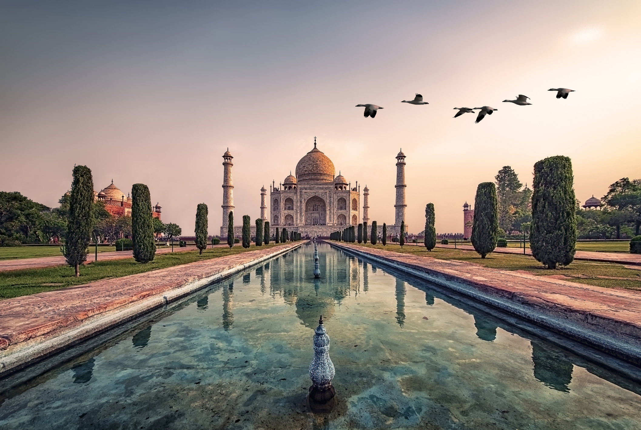 medical cannabis India