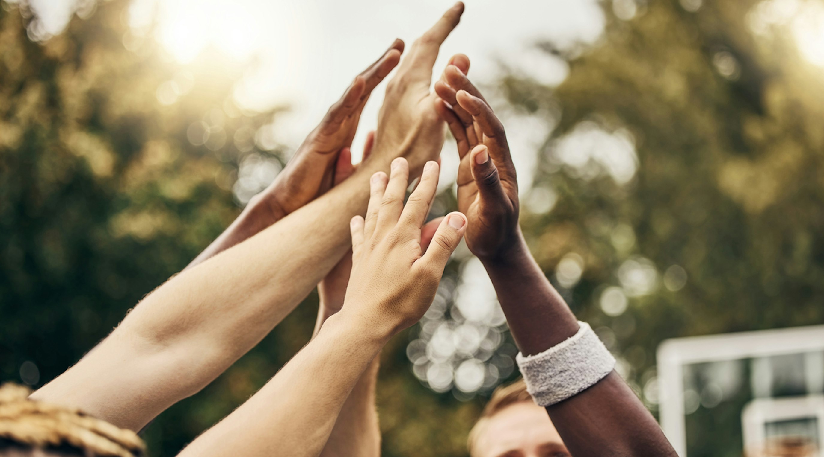 UK medical cannabis patient survey 2025: Seven years since legalisation UK medical cannabis patient survey 2025: Seven years since legalisation