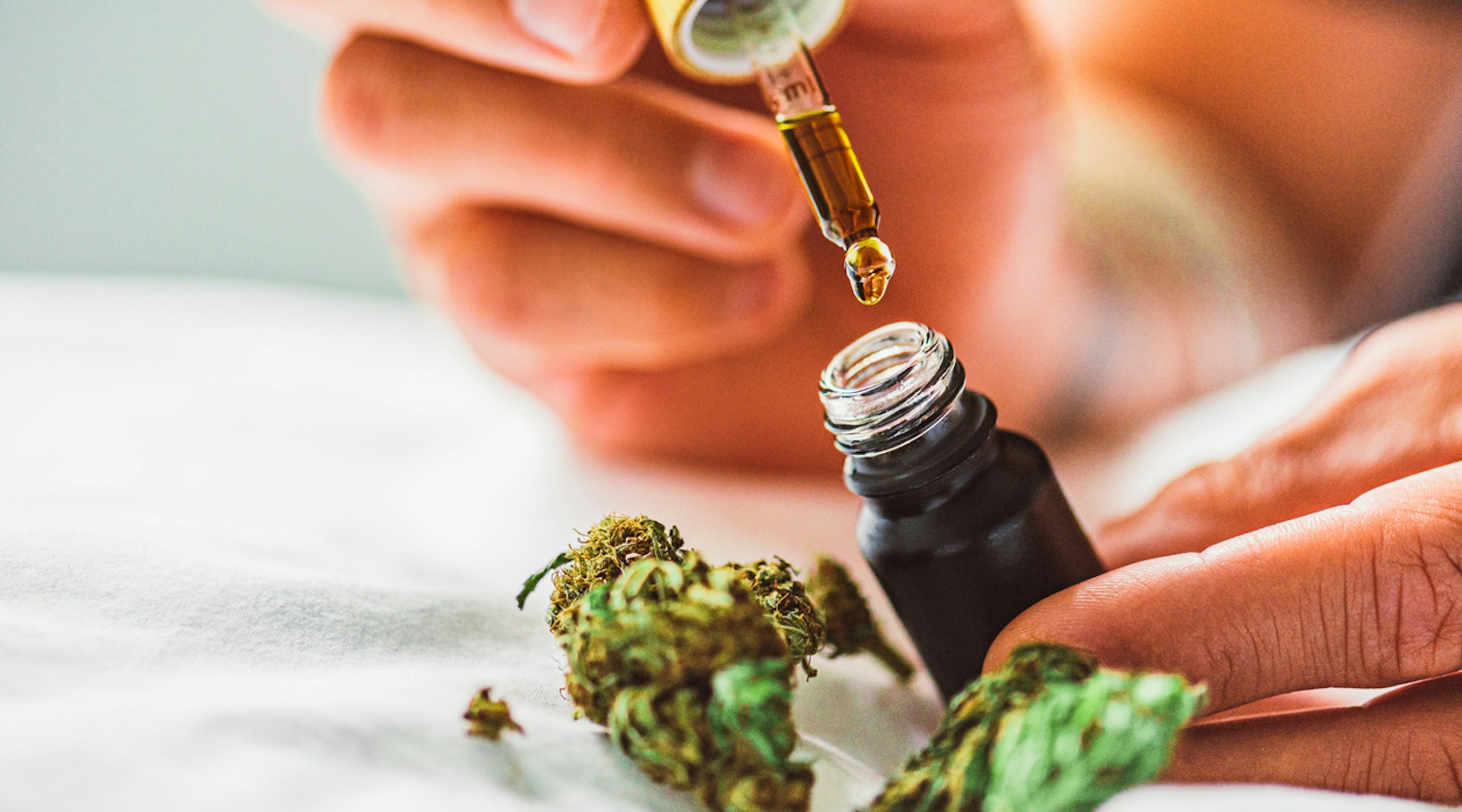 Doctor discussing medical cannabis treatment options with a patient