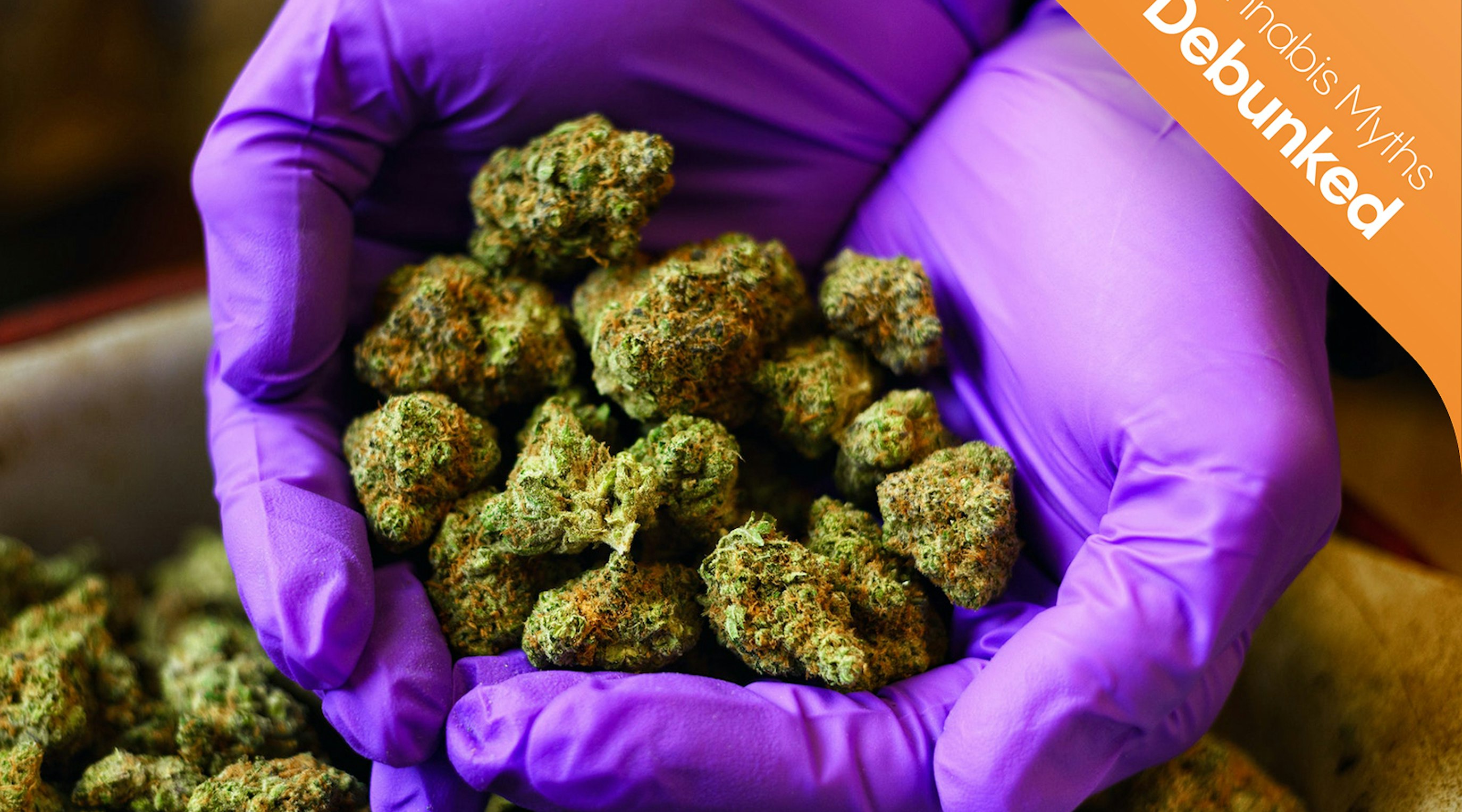 Five medical cannabis myths debunked illustration