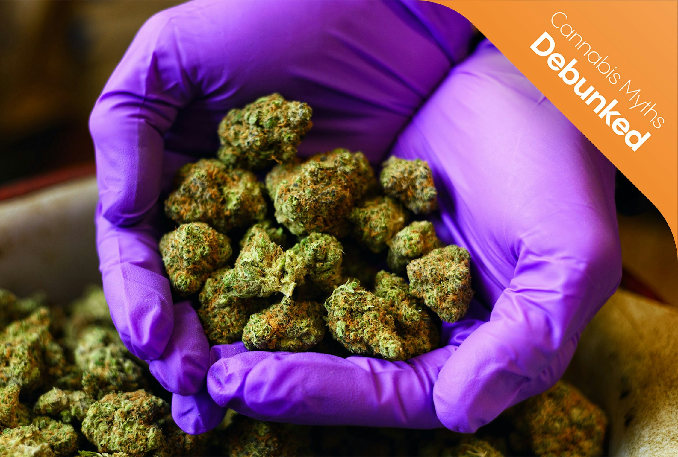 Five medical cannabis myths debunked illustration