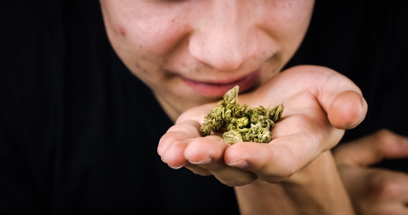 the smell of cannabis