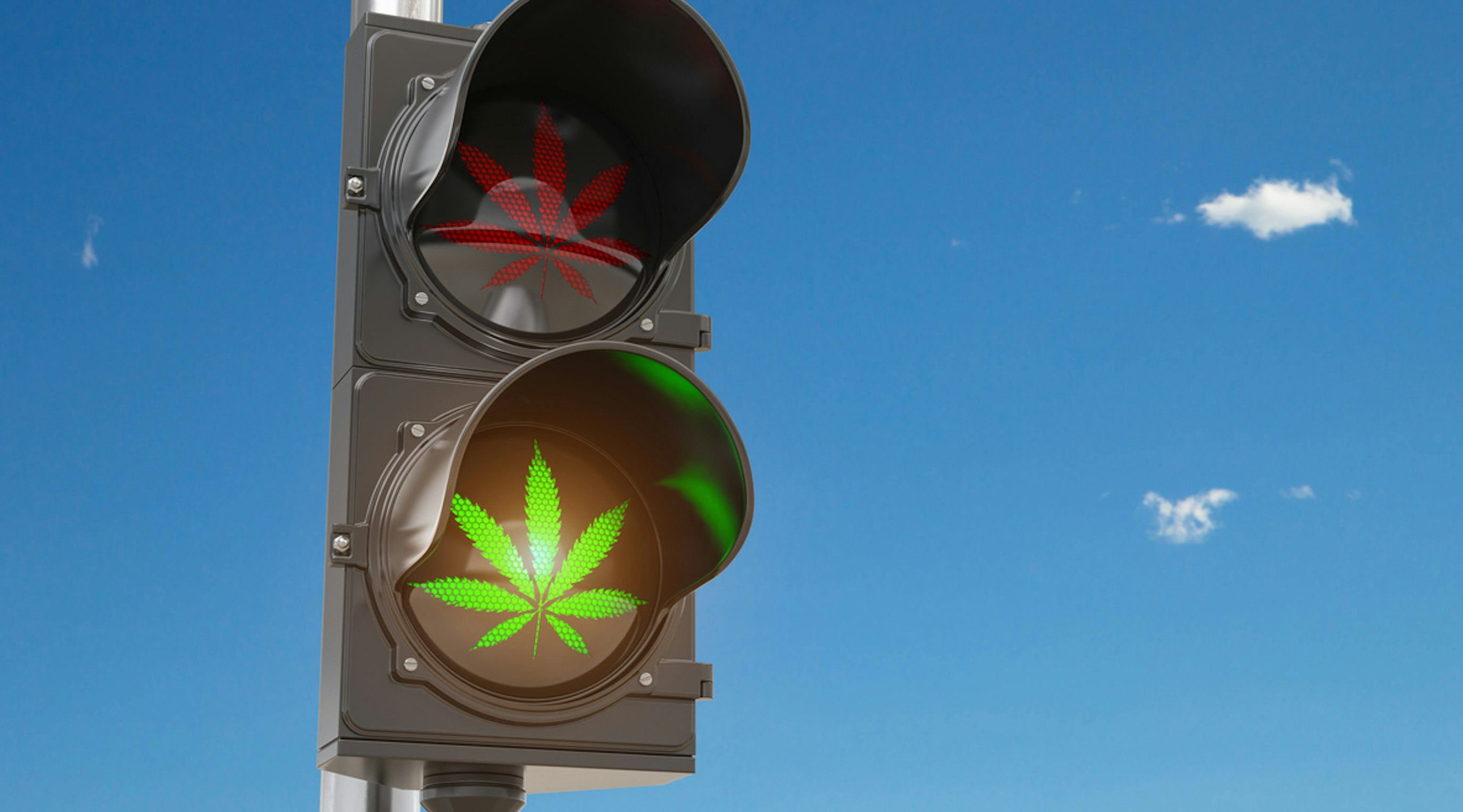 Medical cannabis for treatment in the UK with cannabis driving laws information