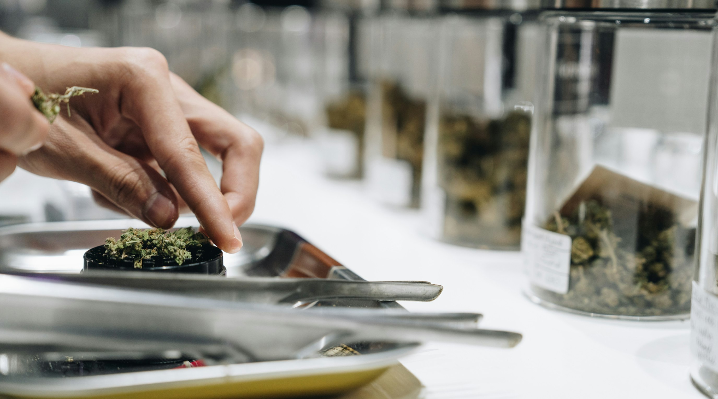 Medical cannabis treatment discussion with police officers and healthcare professionals