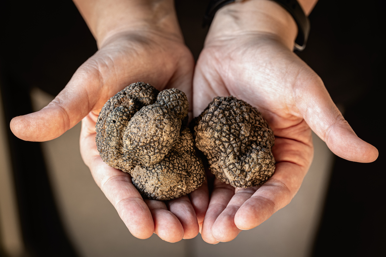 Truffles Anandamide (AEA)