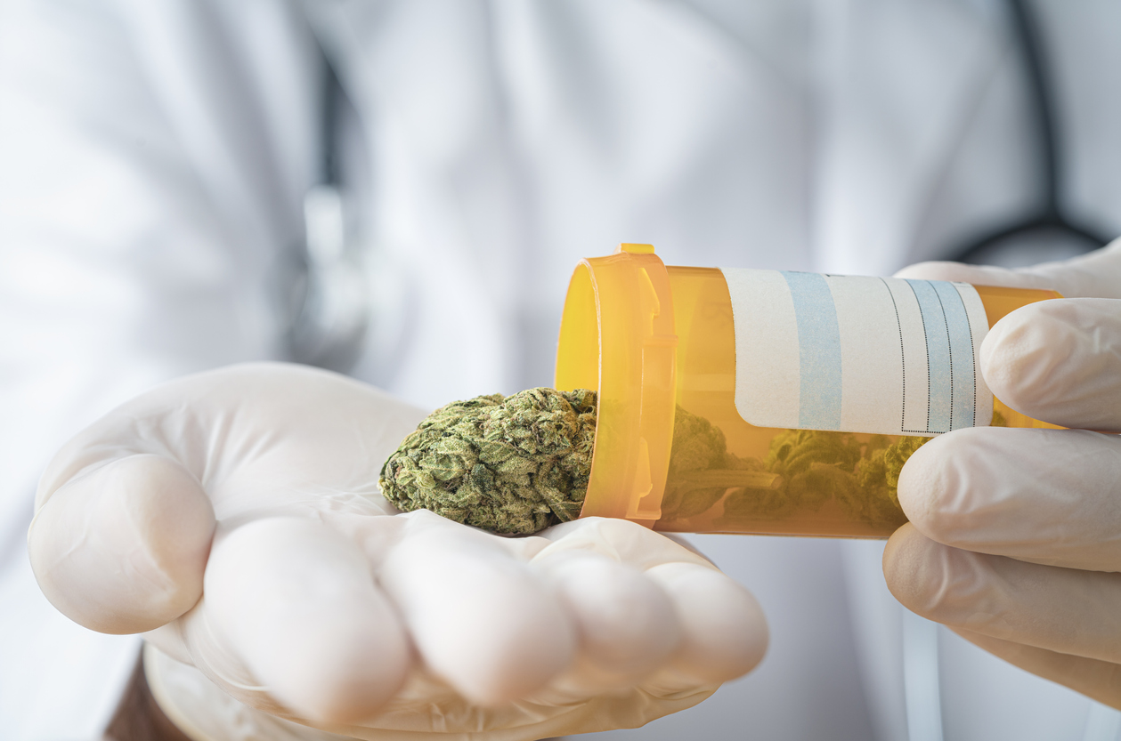 What do doctors, pharmacists and regulators look for in medical cannabis?