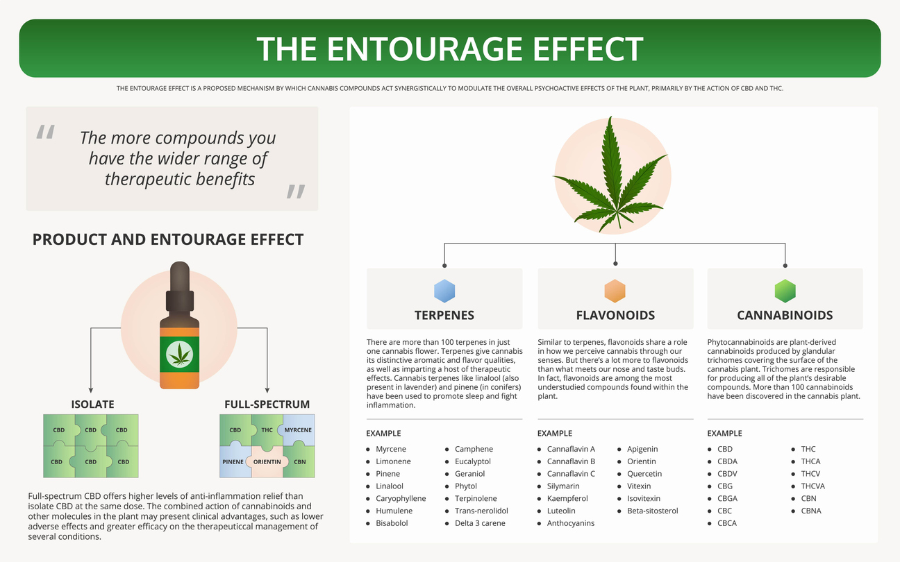 the entrourage effect explained