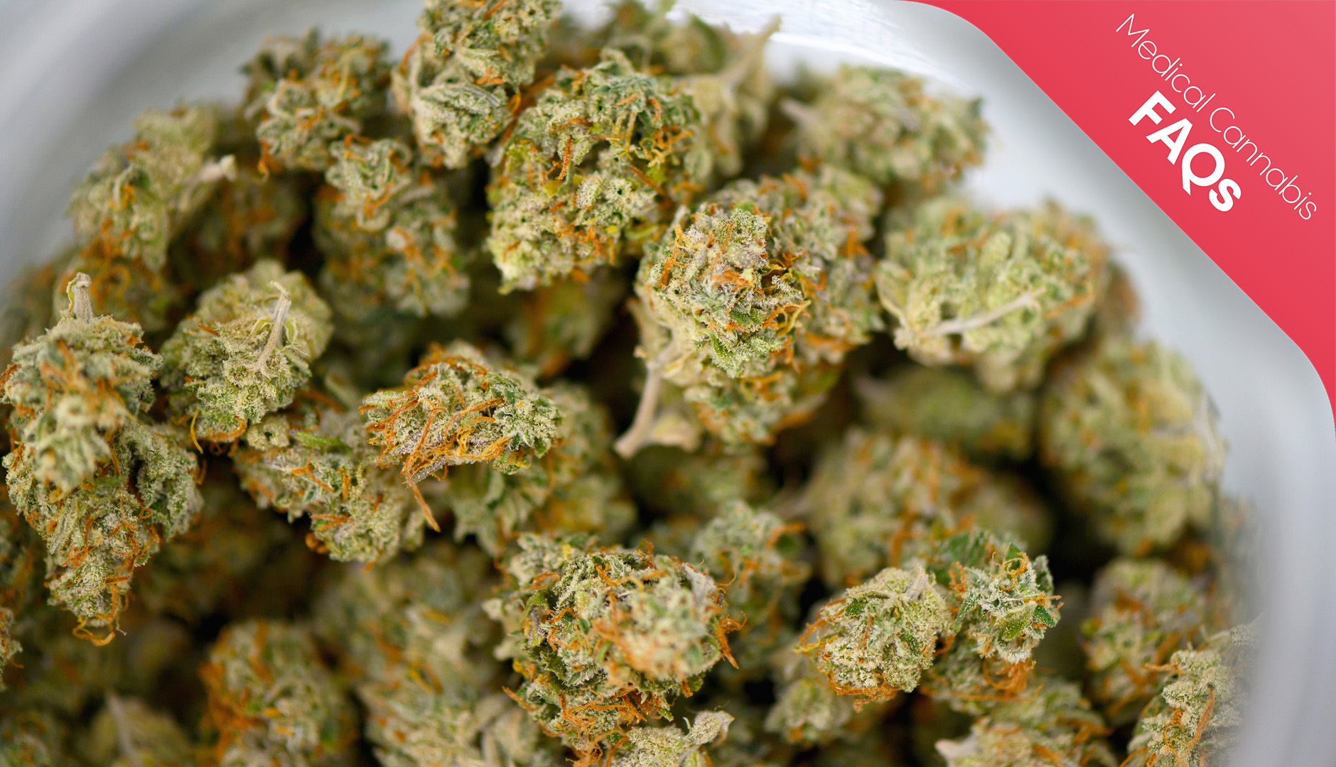 What is the entourage effect