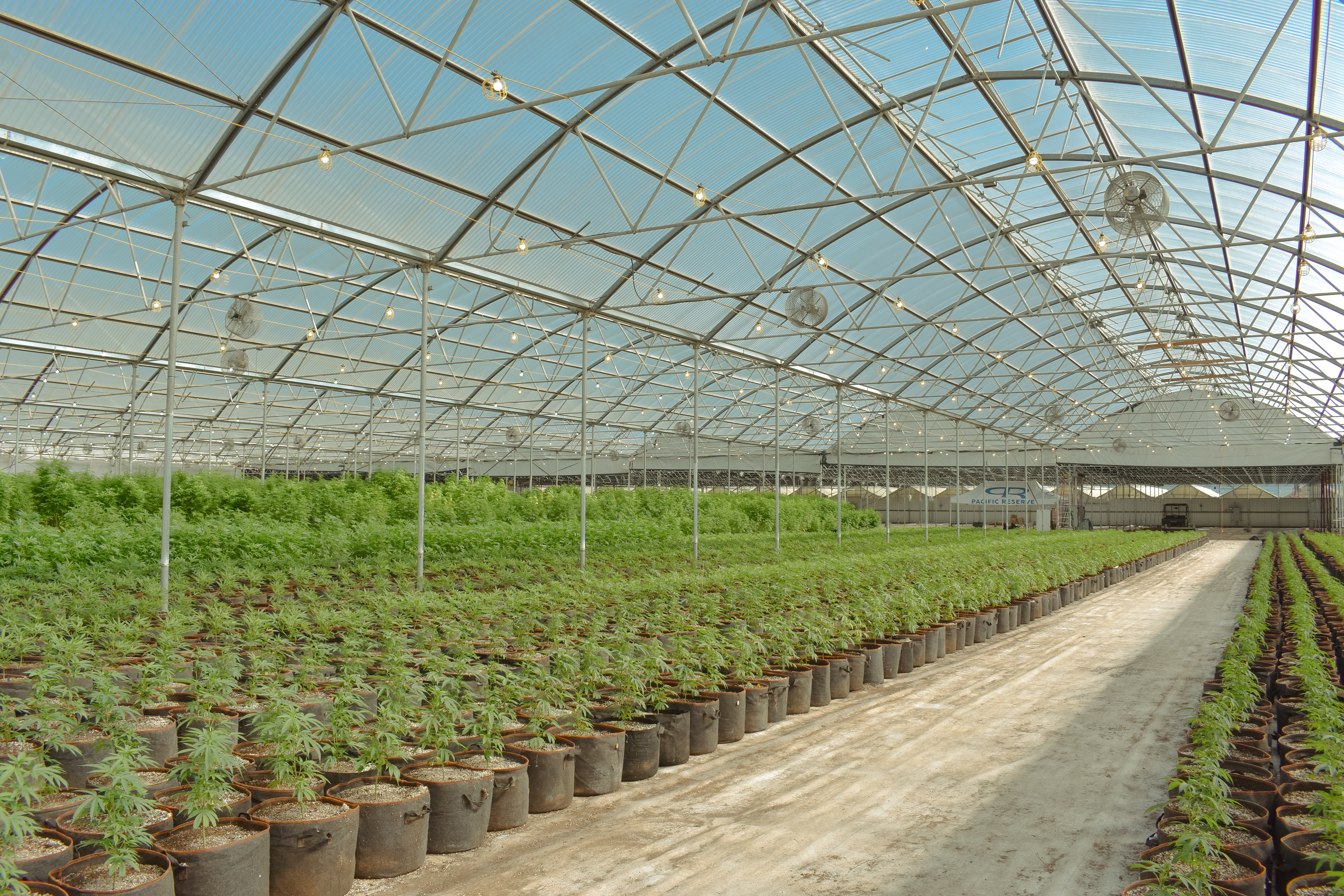 Cannabis cultivation licences FAQs