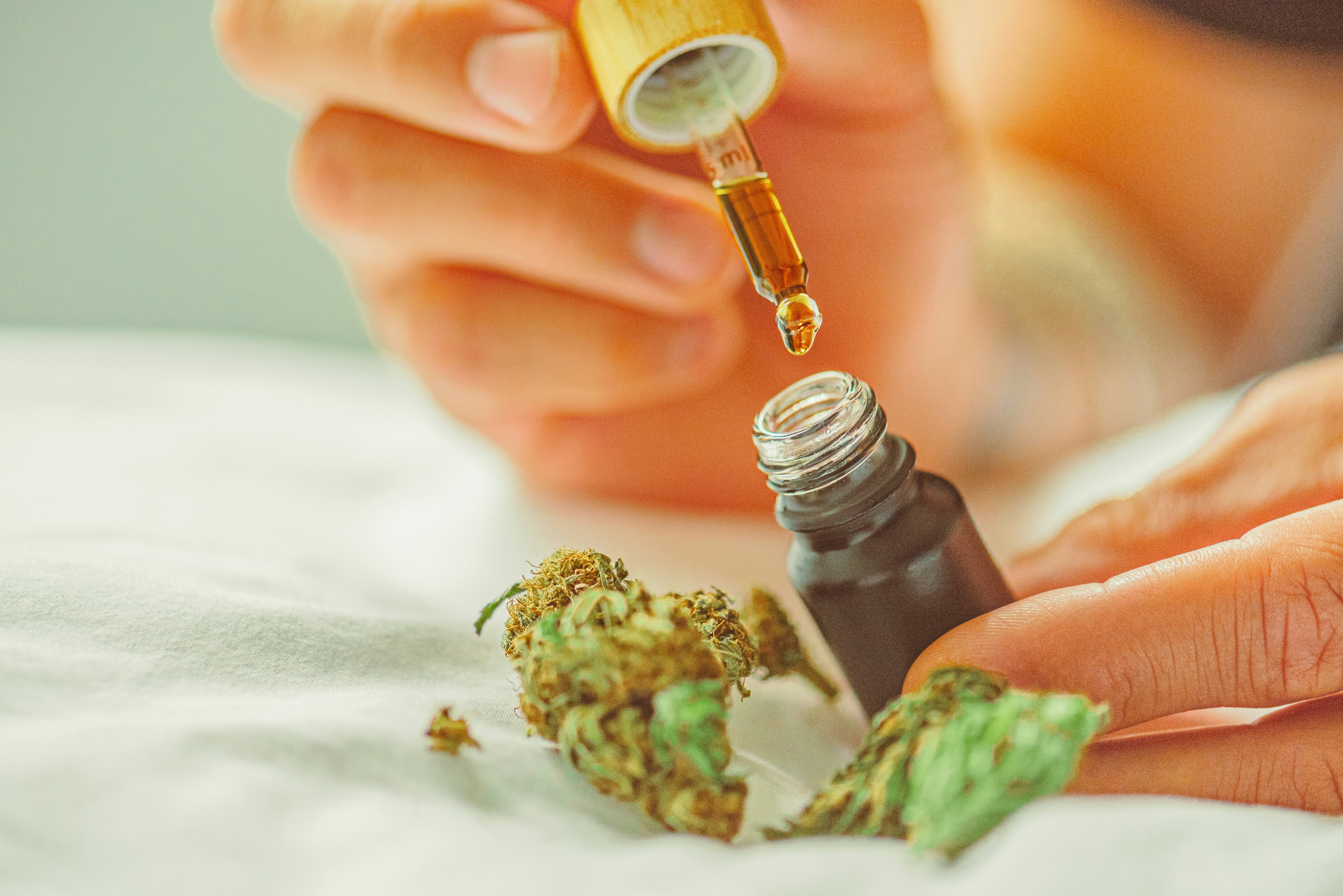 dropper dispensing cannabis oil into a small bottle with cannabis buds nearby