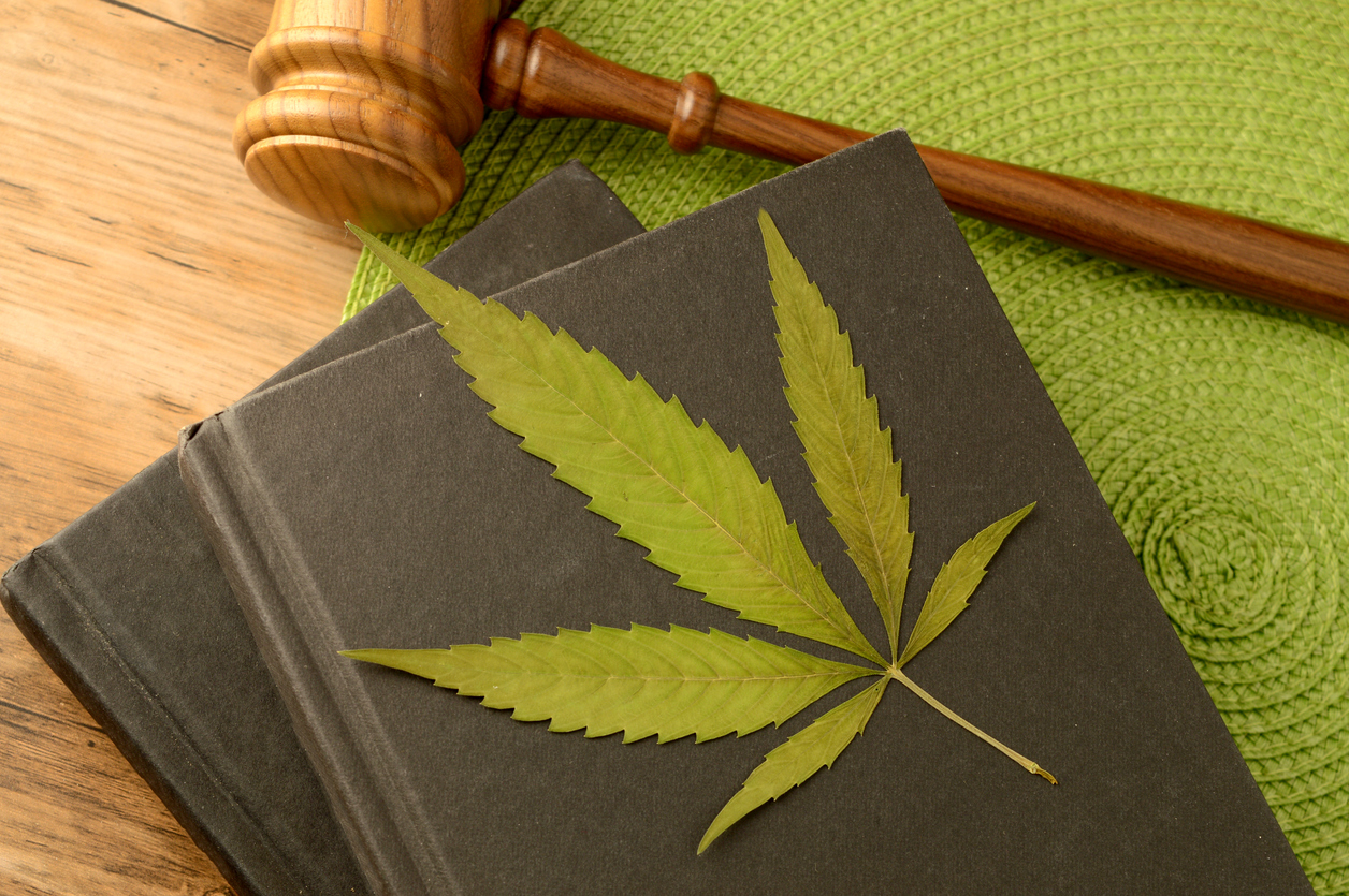Navigating the legal landscape of hemp in the UK