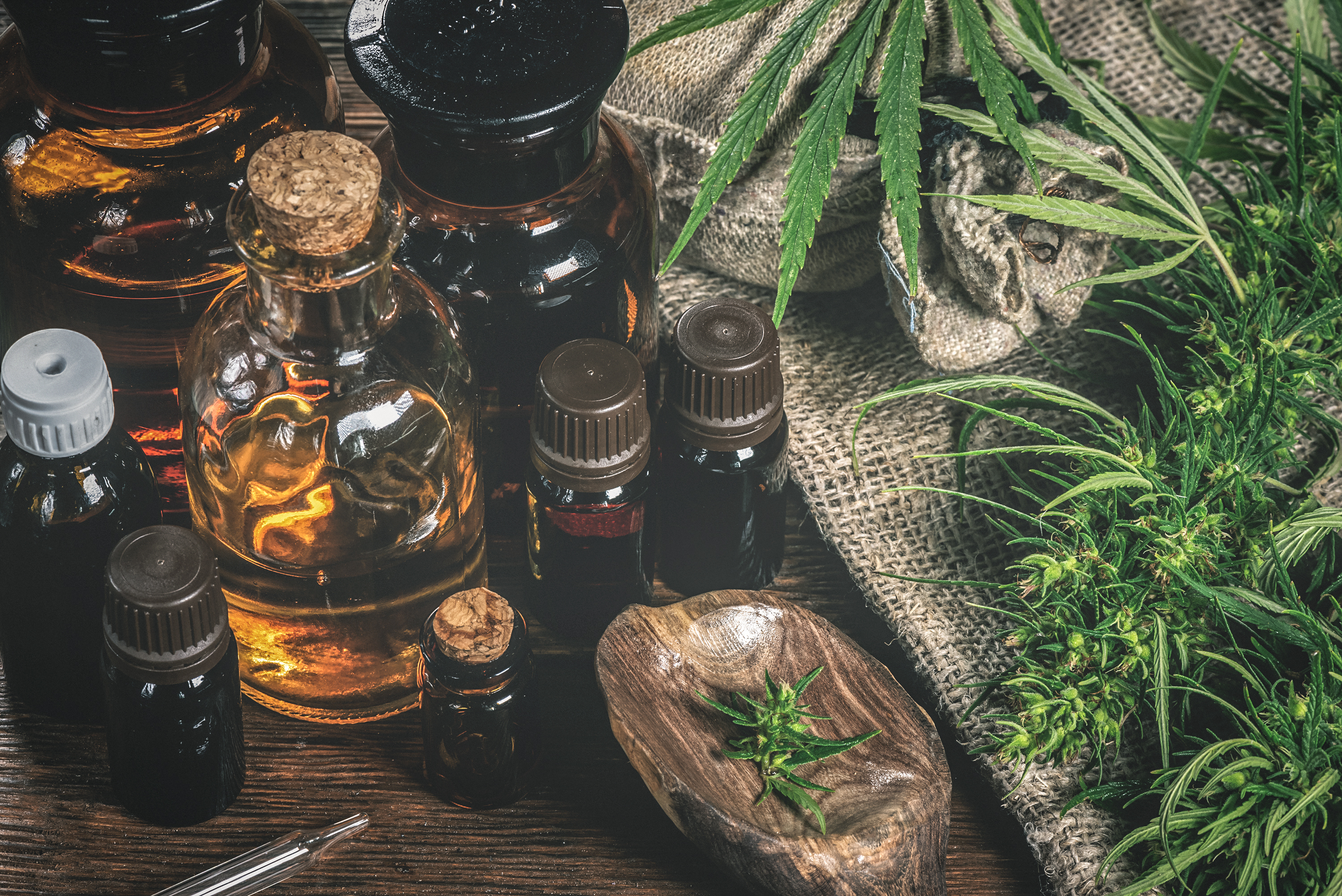 hemp in various industries