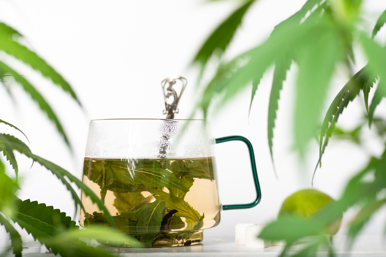Hemp tea vs. cannabis