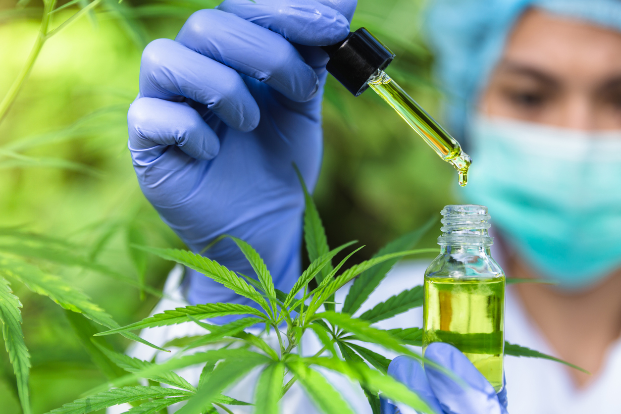 The science behind cannabis and type 2 diabetes