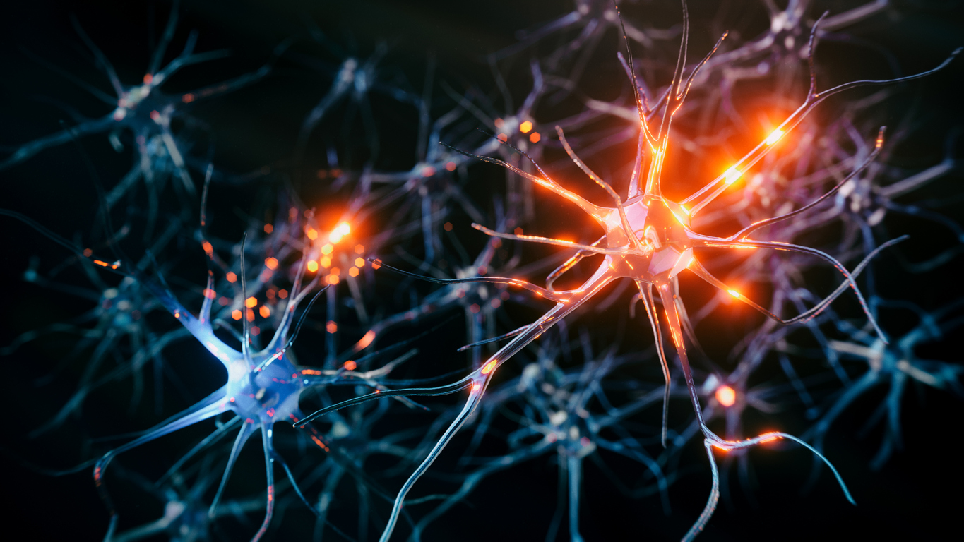 Cannabinoids, neurotransmitters, and their effects on the brain