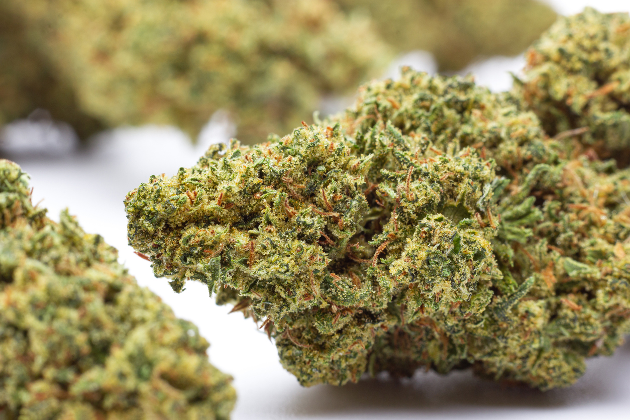 Cannabis flower