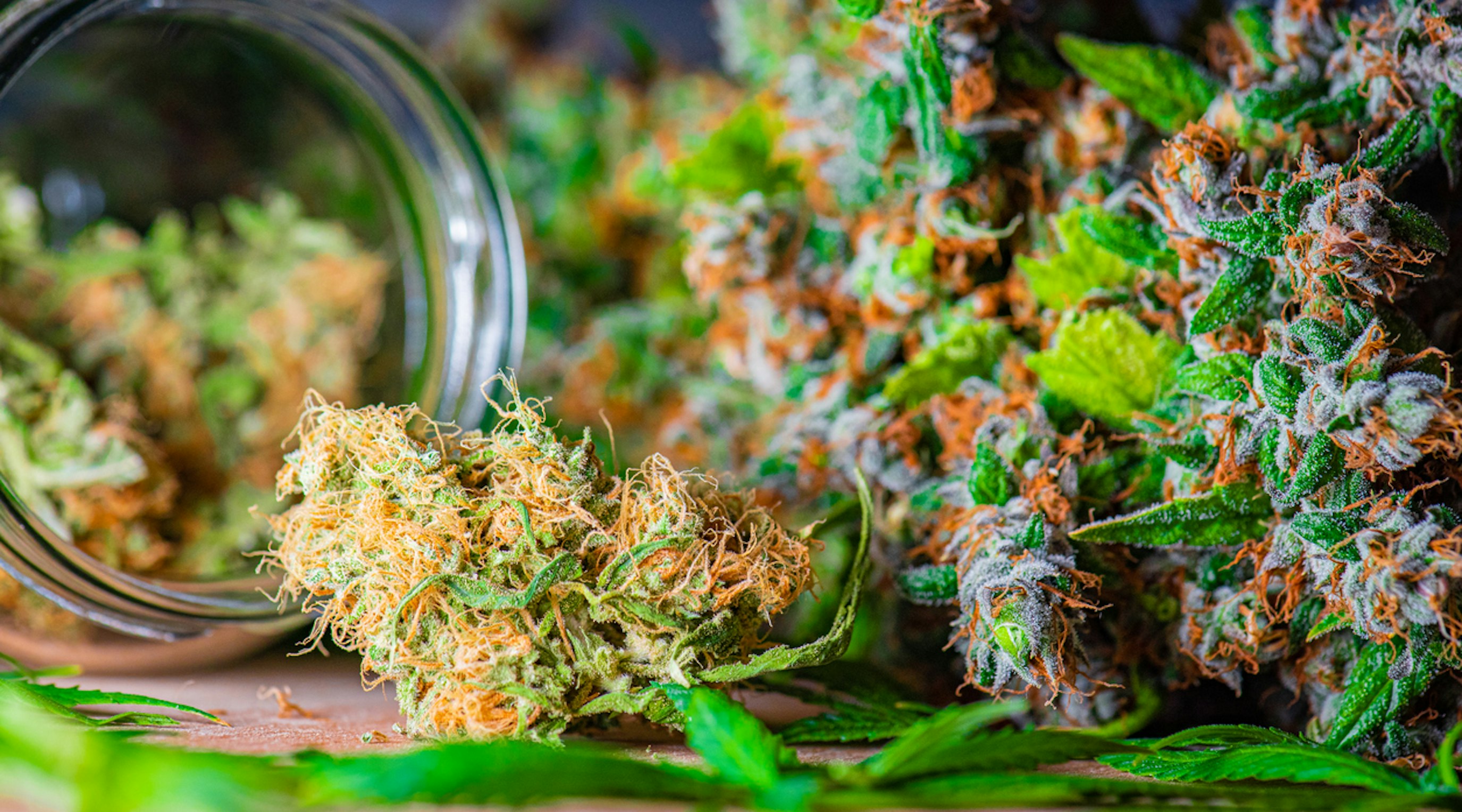 Doctor holding a bottle of medical cannabis for medical cannabis treatment