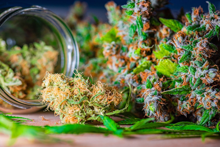 Doctor holding a bottle of medical cannabis for medical cannabis treatment