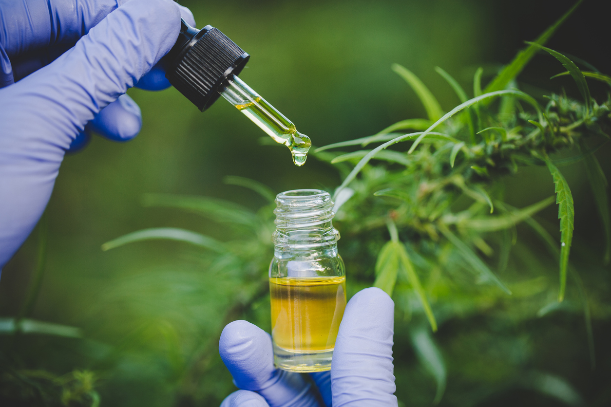Understanding CBD