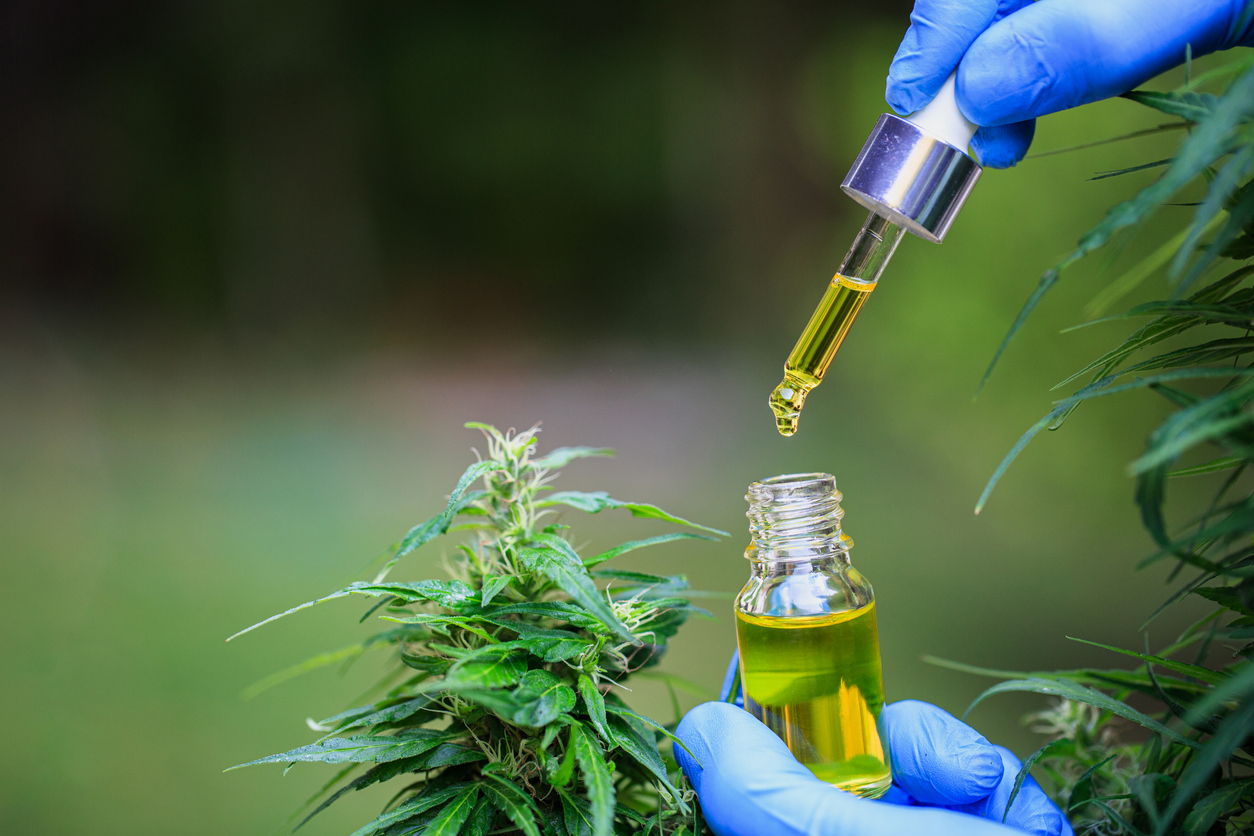 What is prescribed cannabis oil