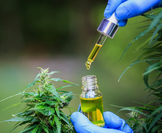 What is prescribed cannabis oil