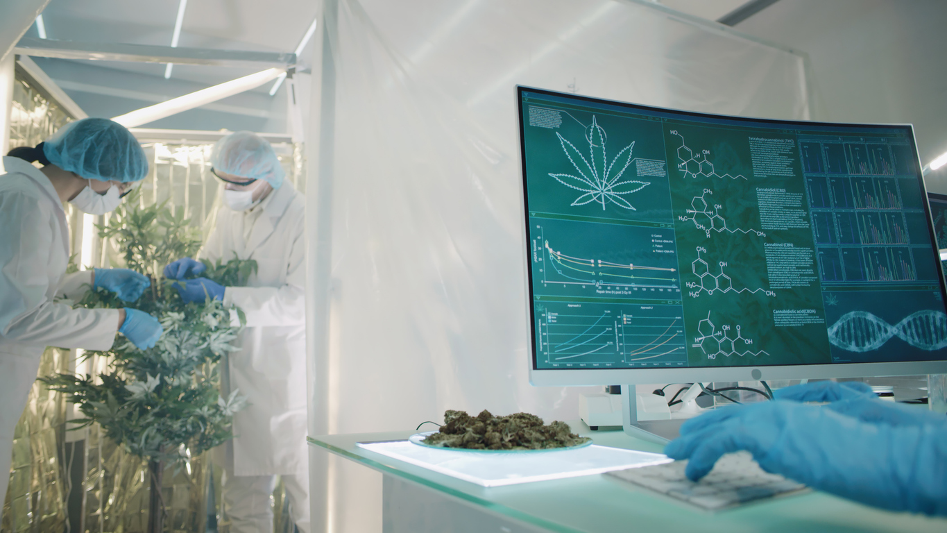 The science behind cannabis and type 1 diabetes