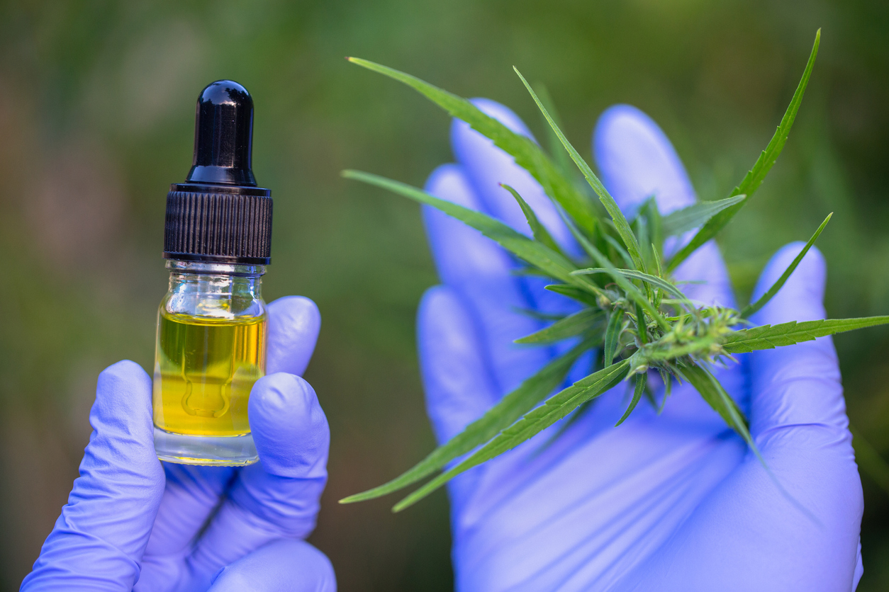 Understanding CBD and its properties