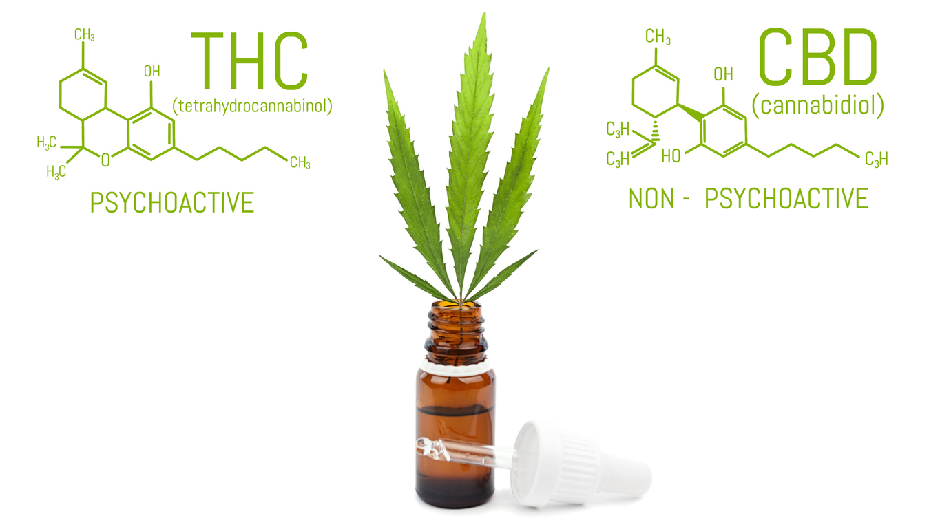 What is WHO's stance on CBD and THC now