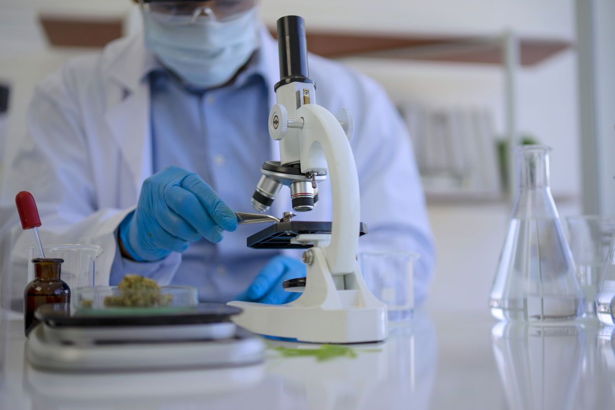What is irradiated medical cannabis