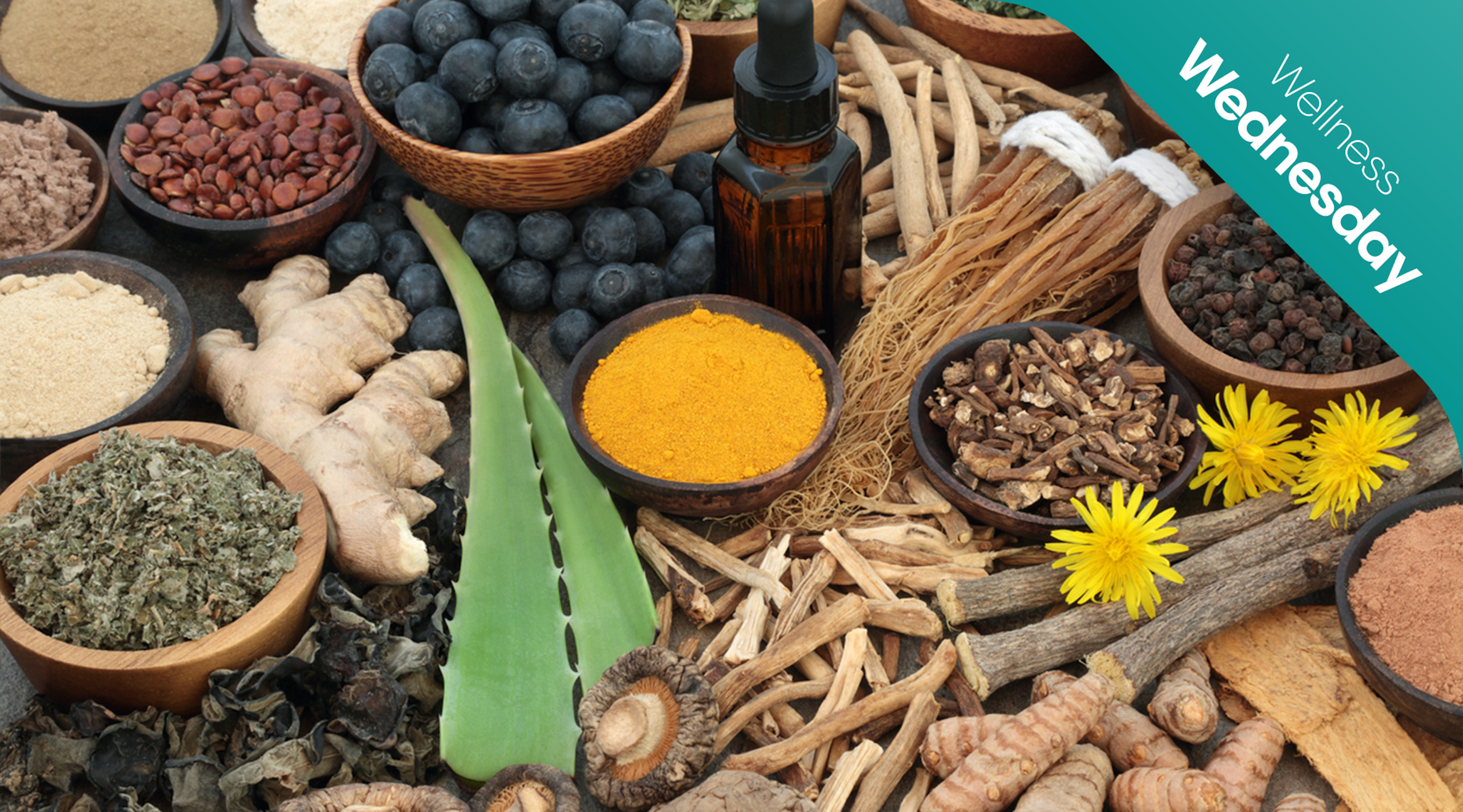 An insight into Ayurveda An insight into Ayurveda