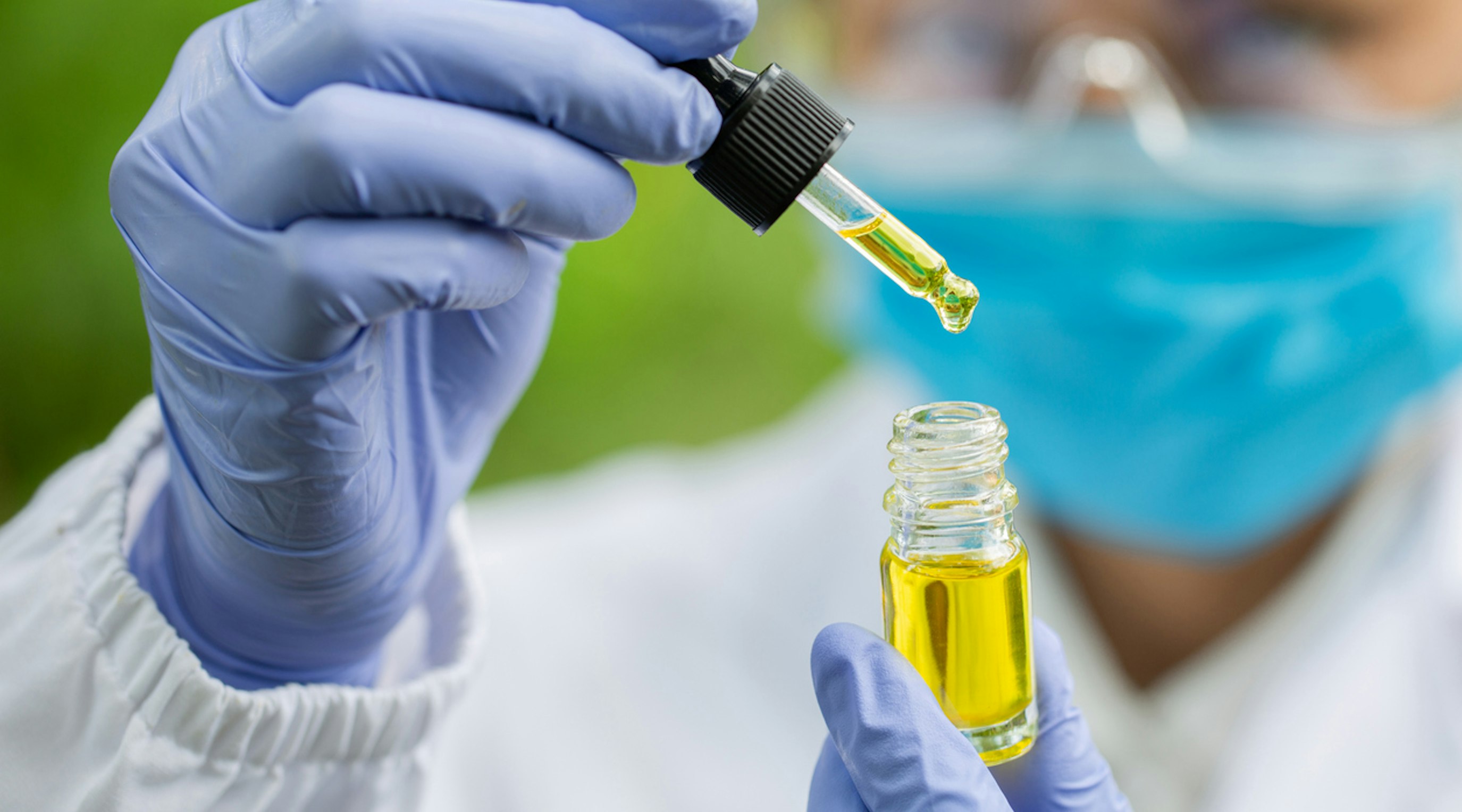 The ins and outs of prescribed cannabis oil The ins and outs of prescribed cannabis oil