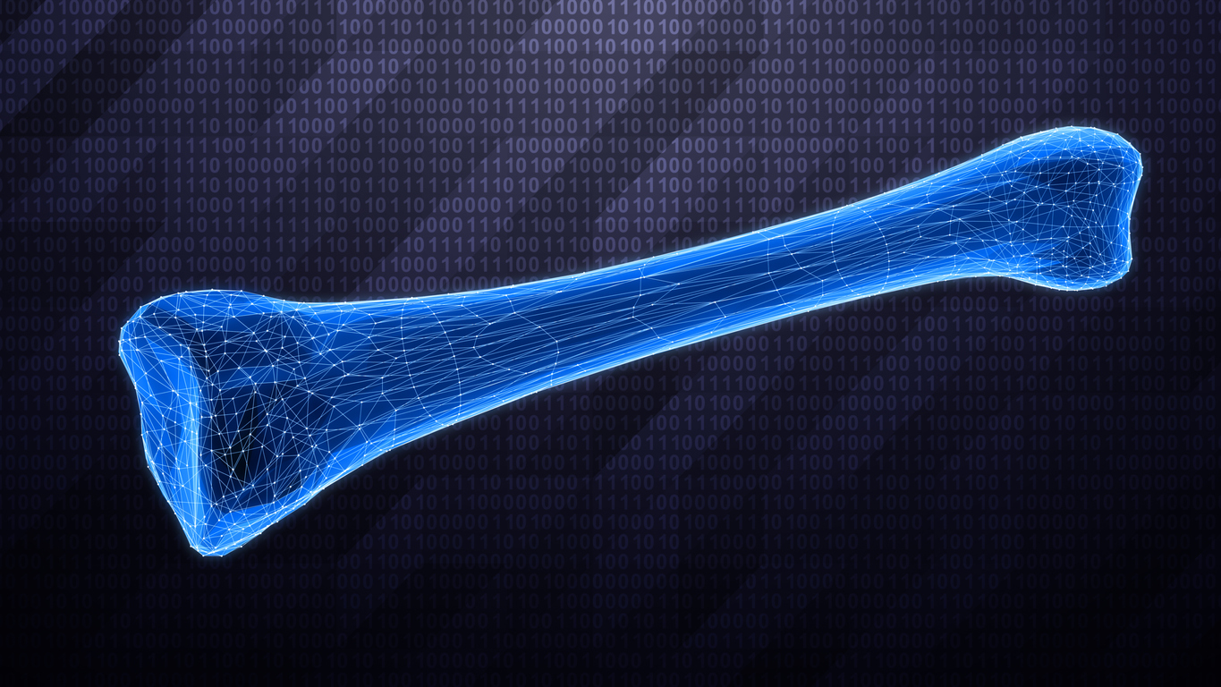 How cannabinoids affect bone regeneration