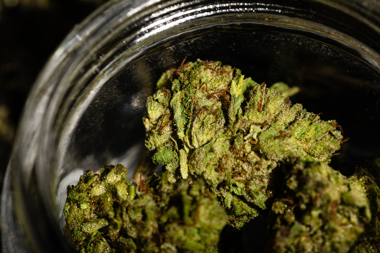 What is medical cannabis