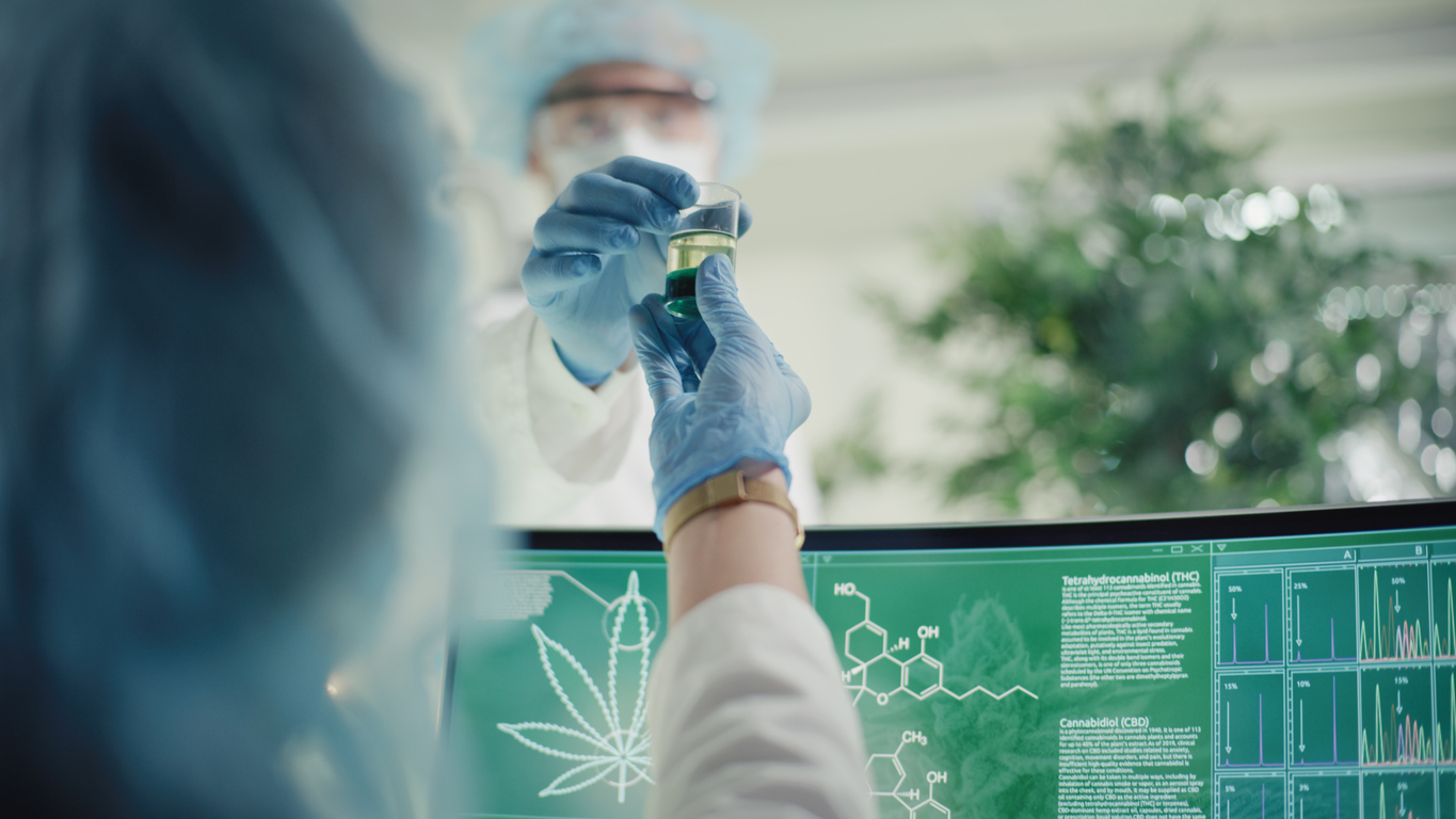How cannabinoids affect inflammation