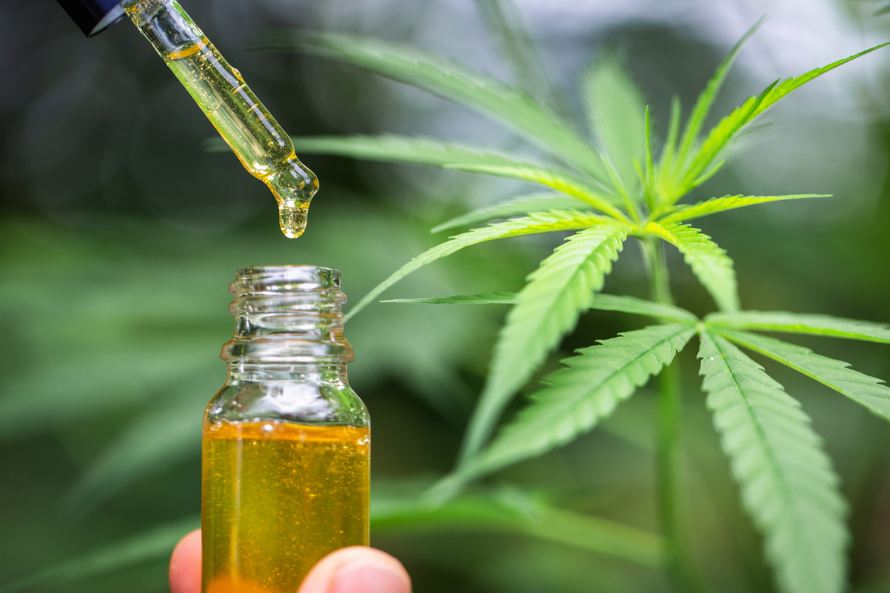 Understanding hemp oil
