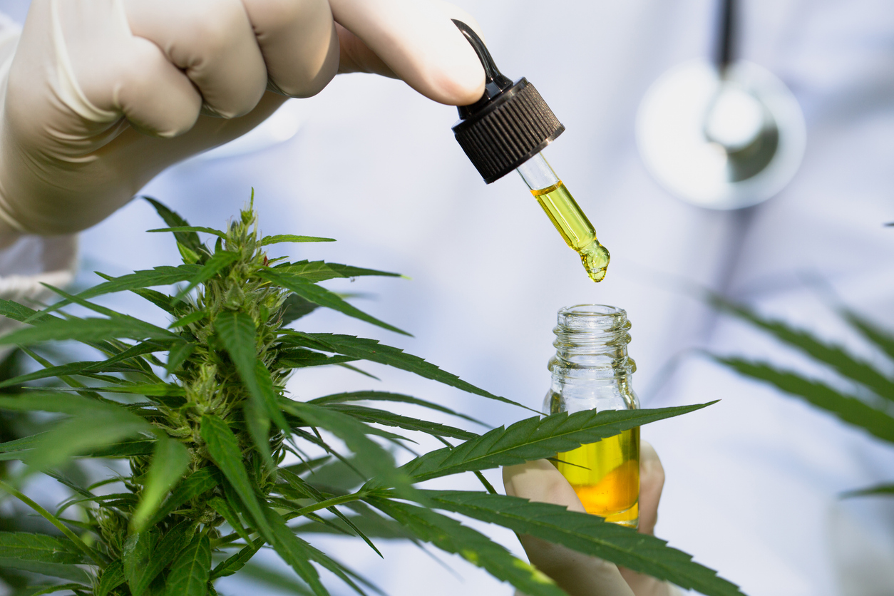 What are the practical benefits of medical cannabis for back pain