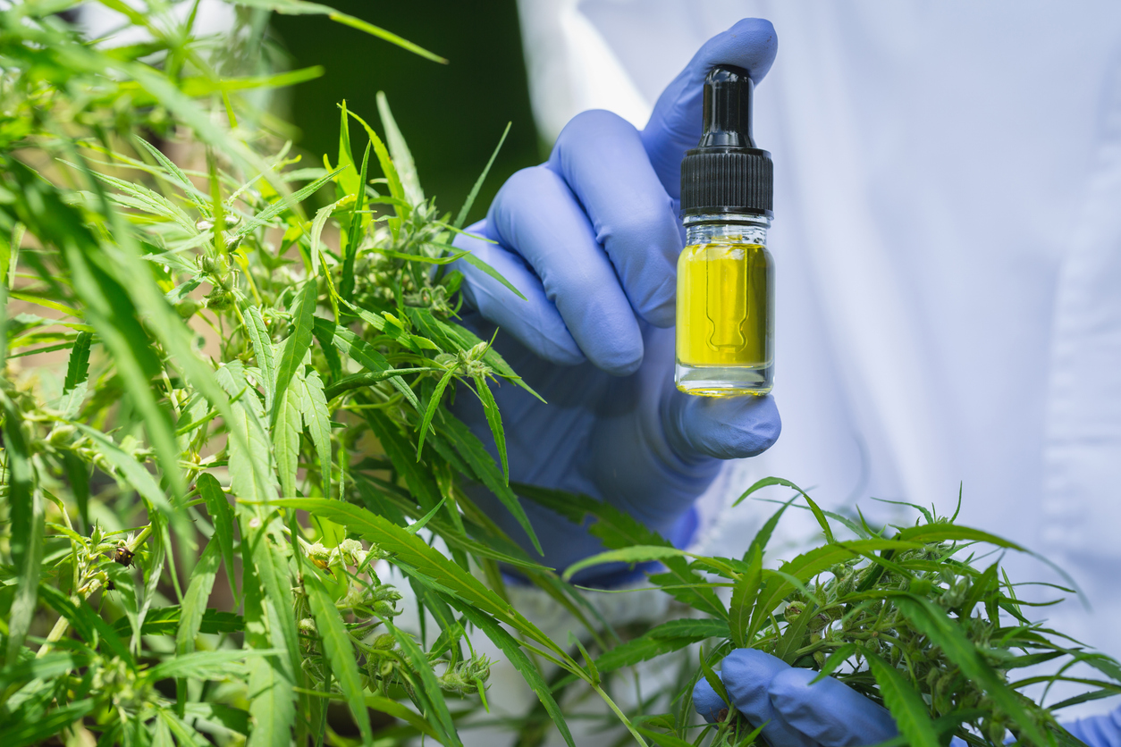 CBD for ADHD
