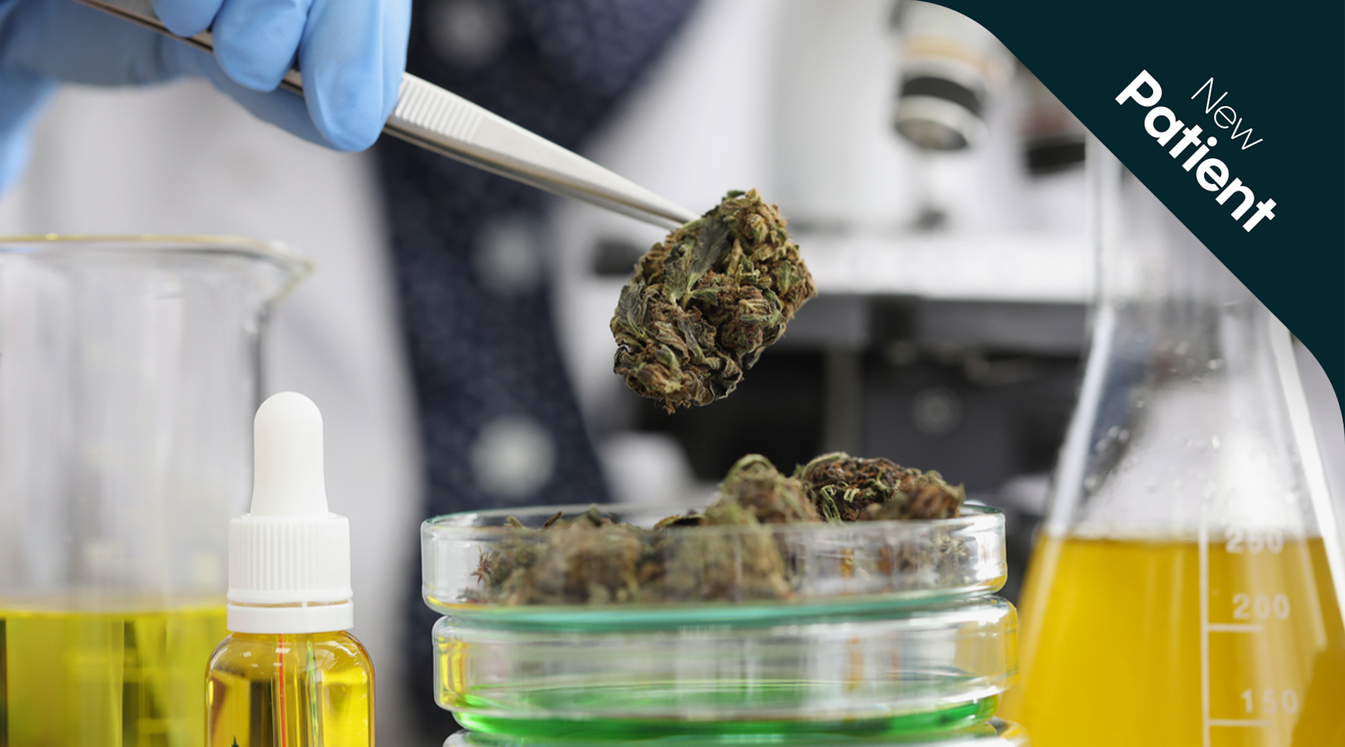 what is the endocannabinoid system what is the endocannabinoid system