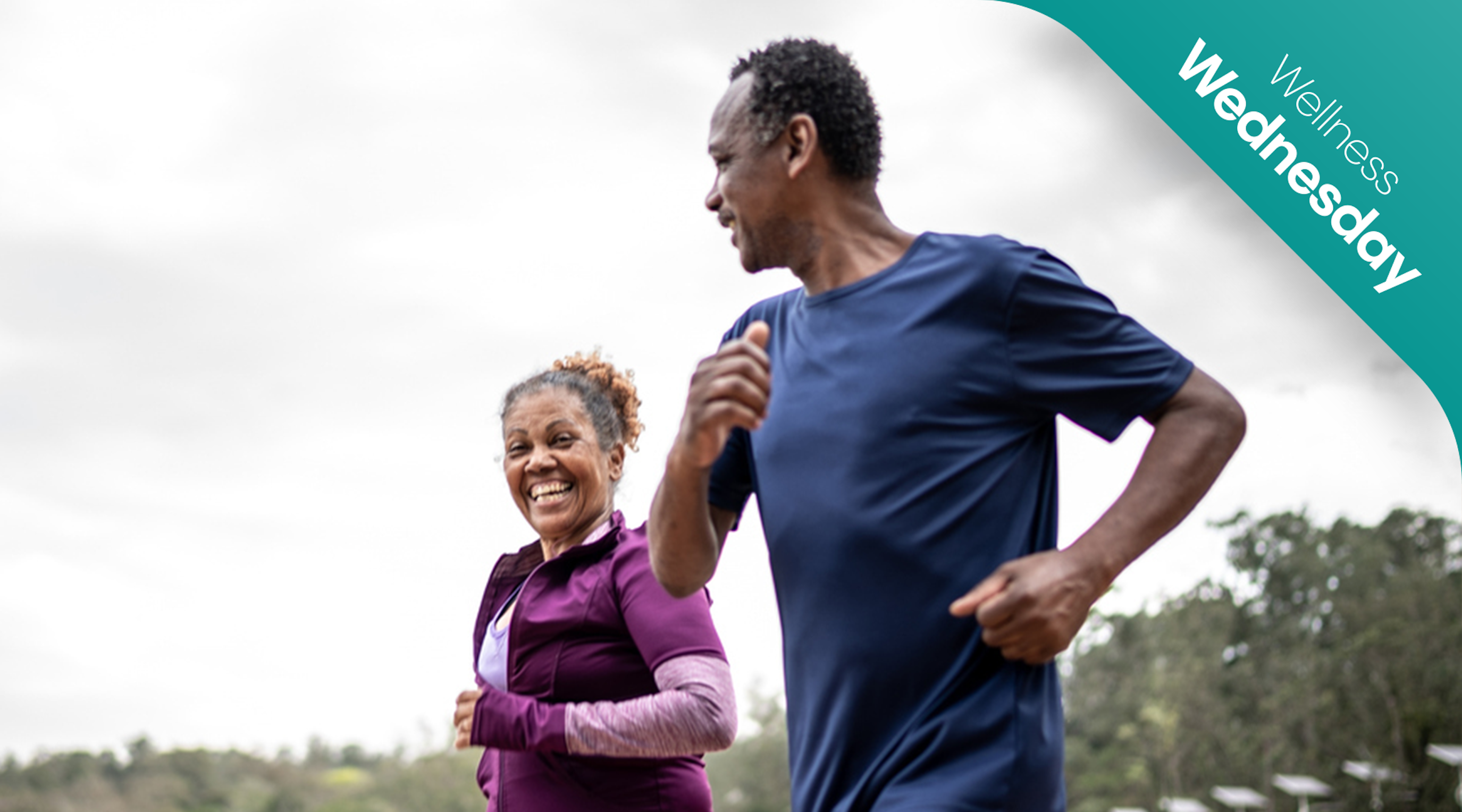 what-is-homeostasis what-is-homeostasis