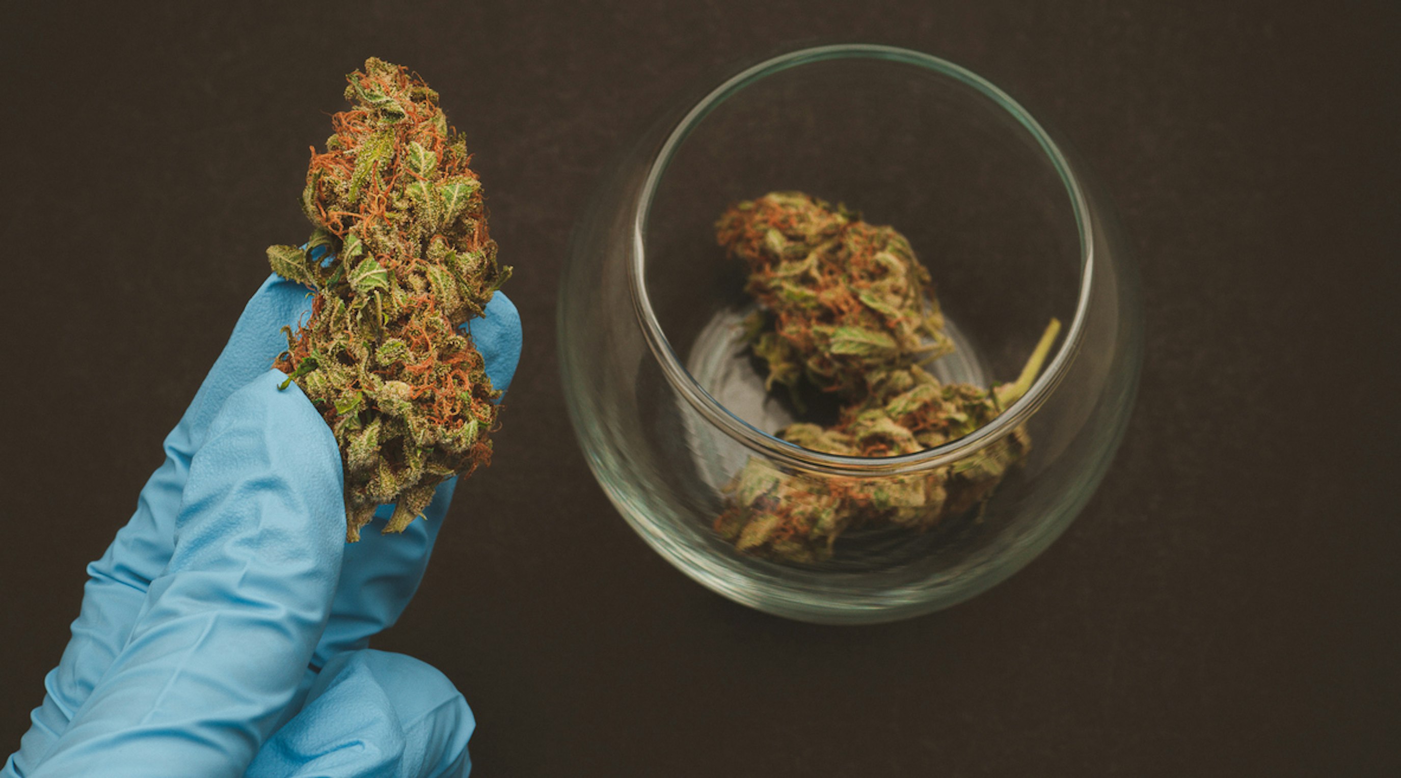 Understanding medical cannabis A guide for Fibromyalgia patients Understanding medical cannabis A guide for Fibromyalgia patients