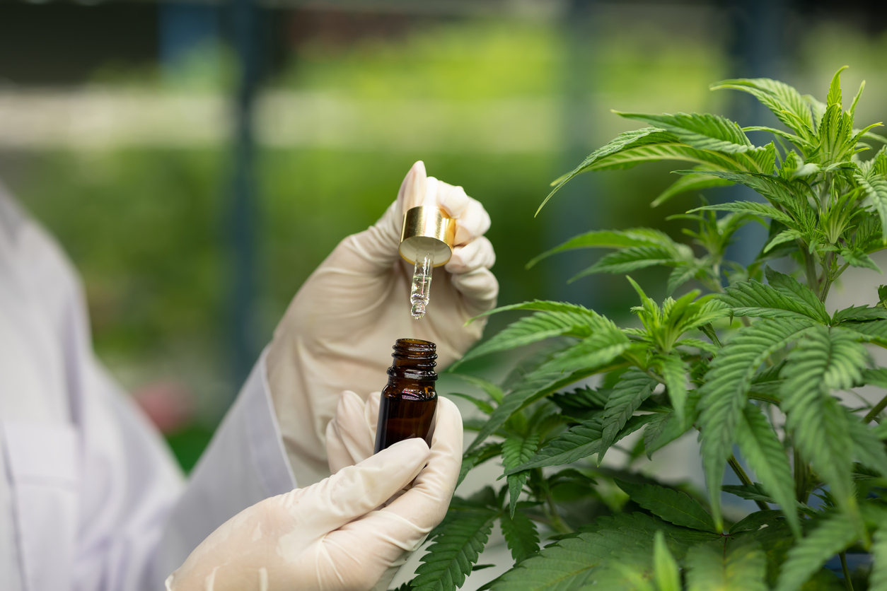 How can medical cannabis benefit mental health symptoms 