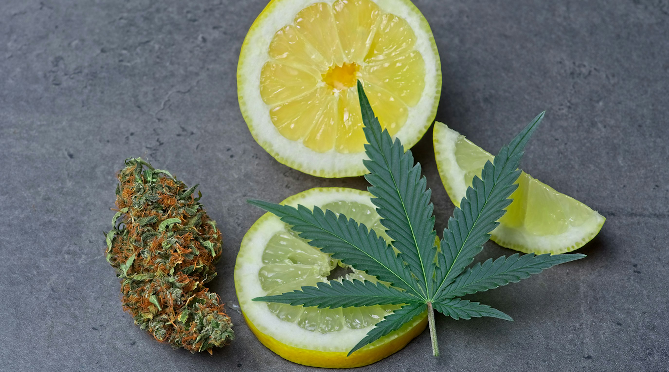 Limonene The citrus-scented terpene in medical cannabis Limonene The citrus-scented terpene in medical cannabis