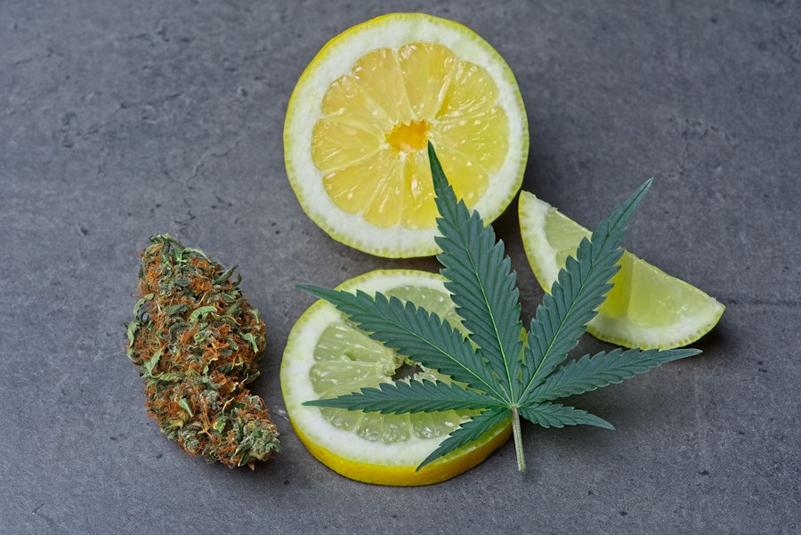 Limonene The citrus-scented terpene in medical cannabis
