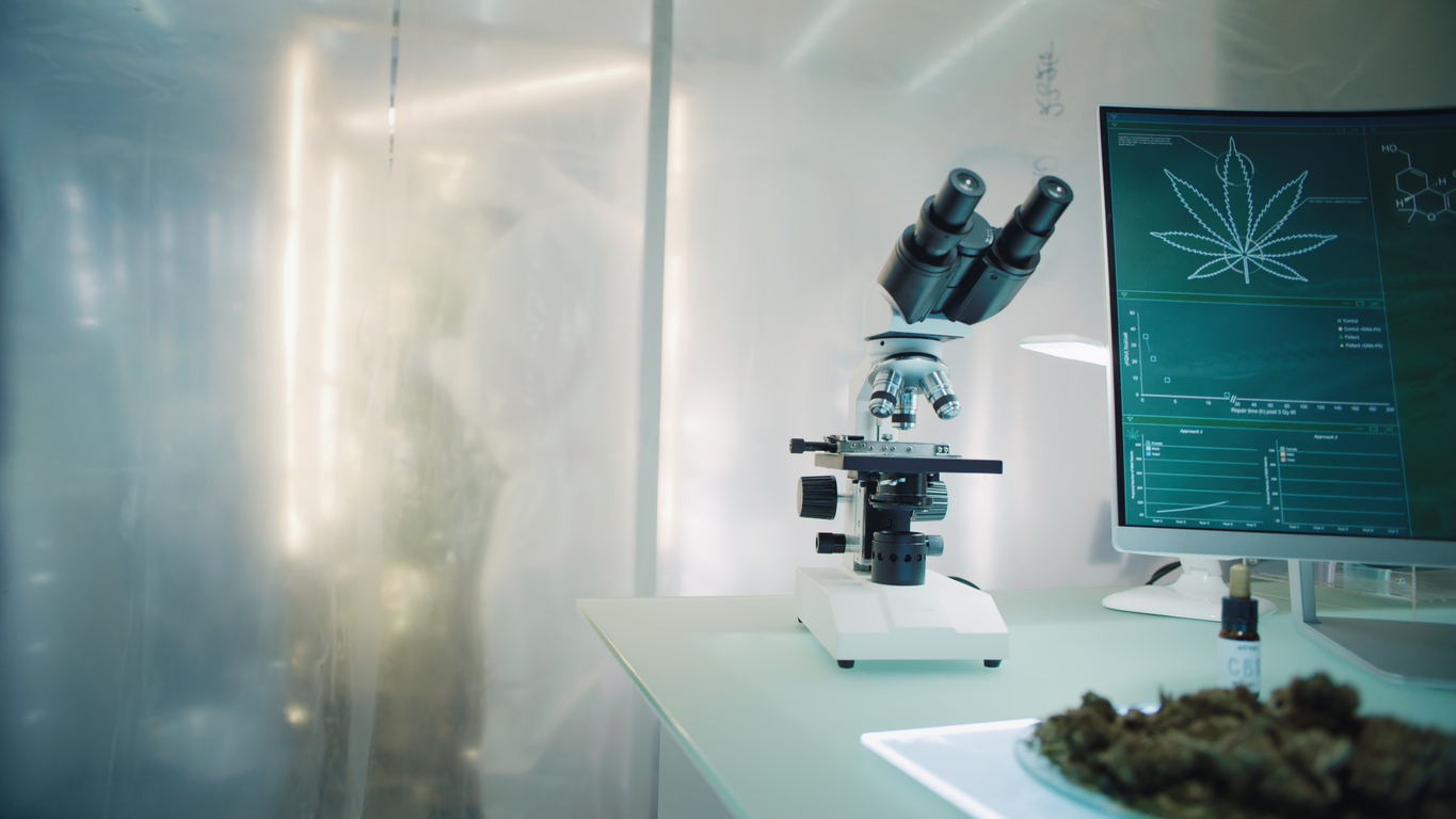 The science behind cannabis and diabetes type 1