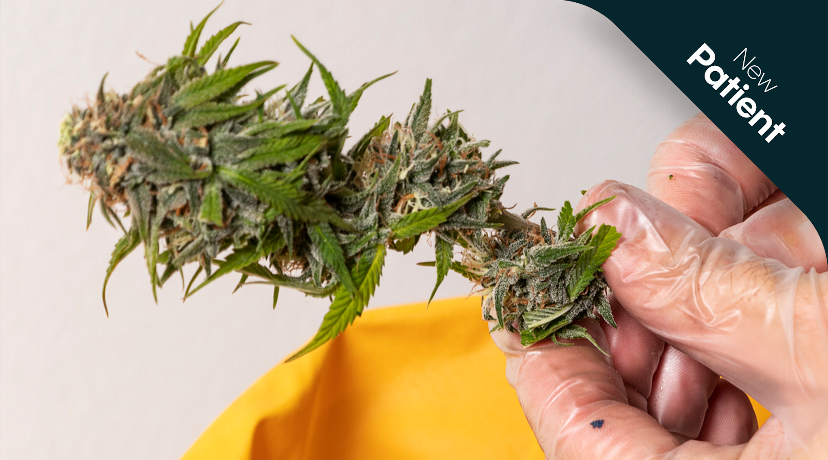 Is there an age limit to medical cannabis Is there an age limit to medical cannabis