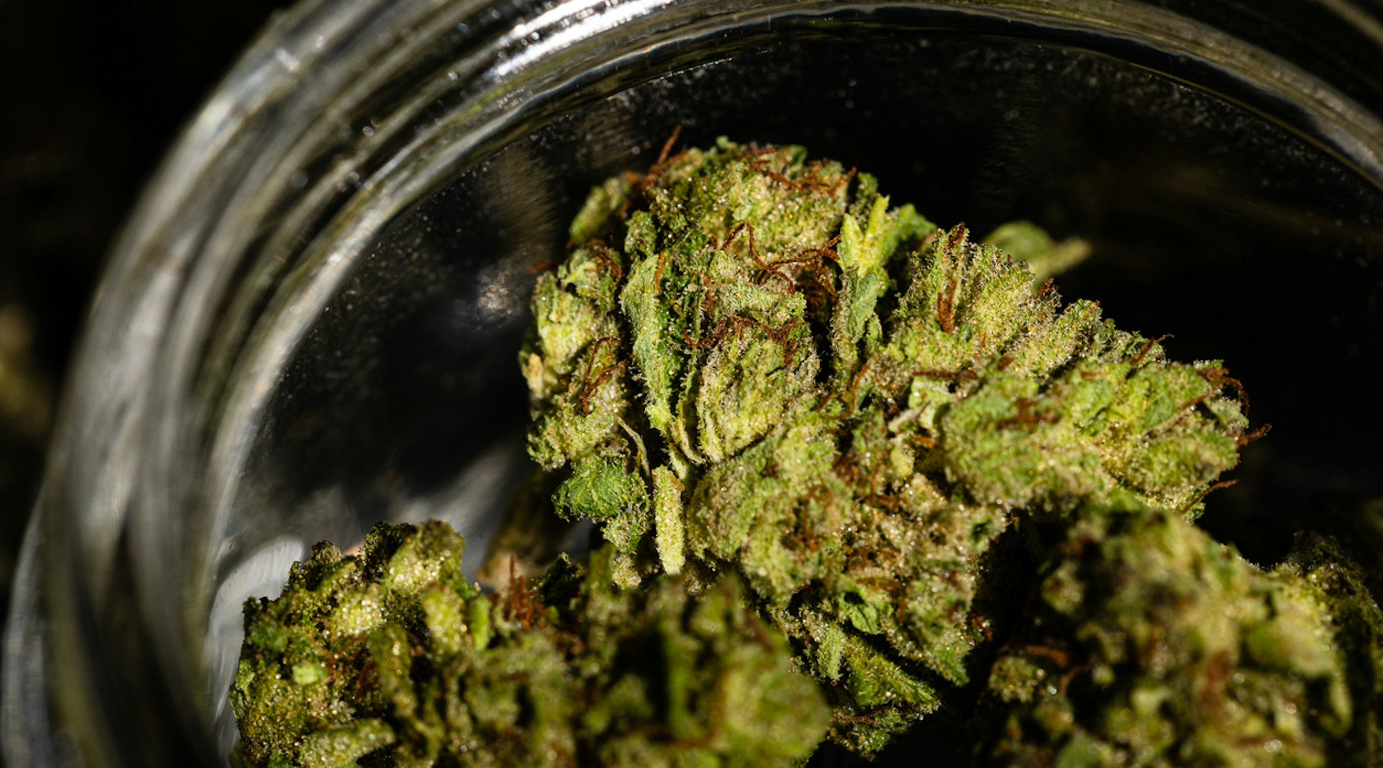 Can medical cannabis help people with Ehlers-Danlos syndrome Can medical cannabis help people with Ehlers-Danlos syndrome