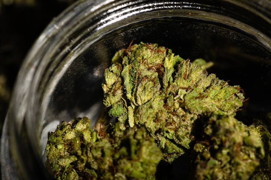 Can medical cannabis help people with Ehlers-Danlos syndrome