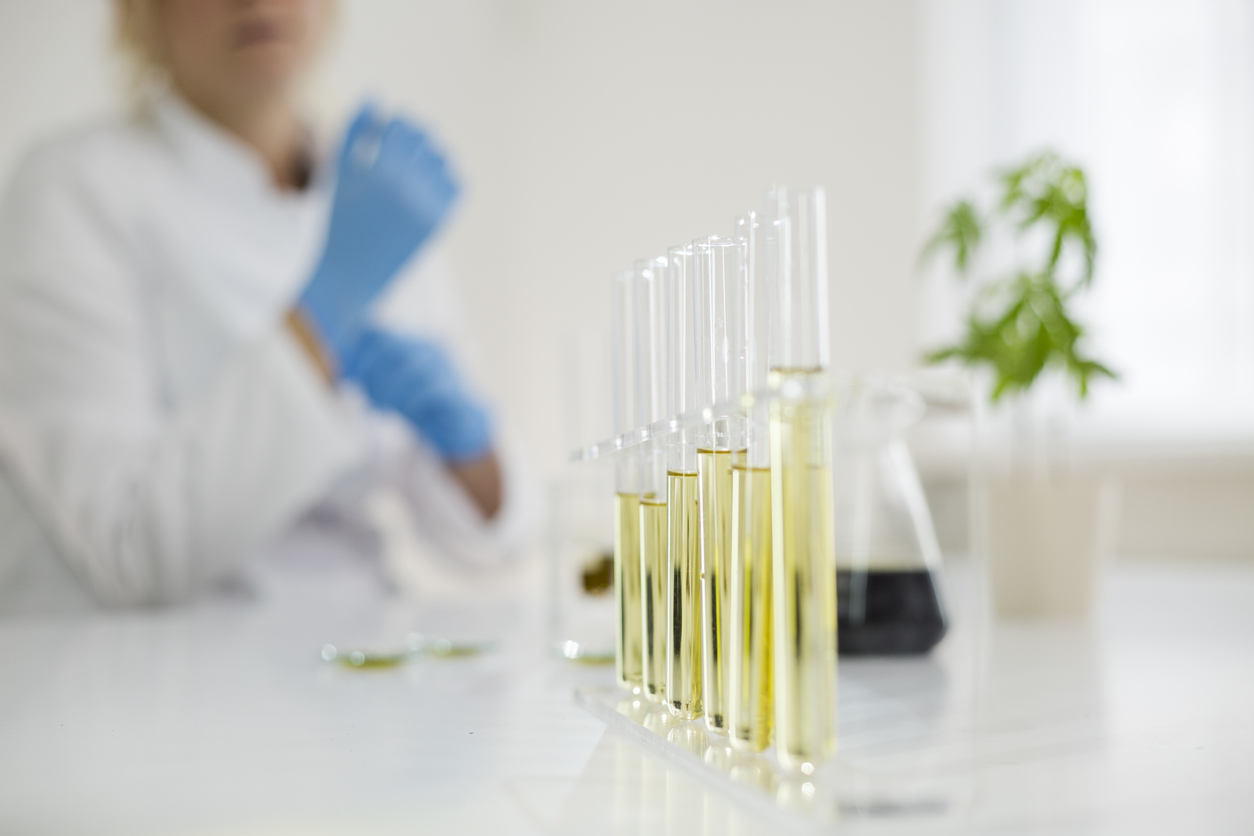 Do medical cannabis oil side effects differ from other forms of medical cannabis