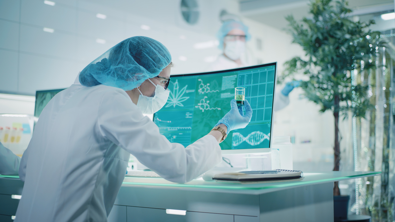 What does current research say about medical cannabis for Tourette's Syndrome