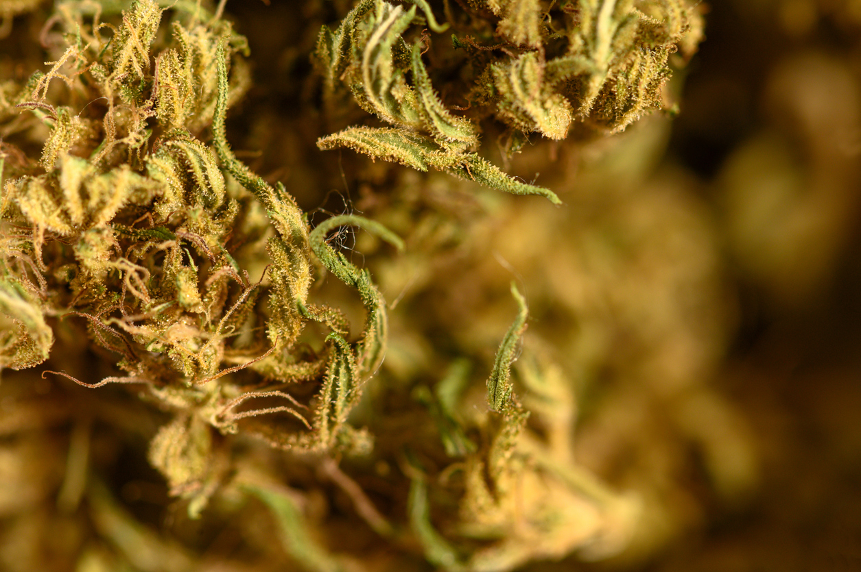 How is dried medical cannabis flower legally administered in the UK